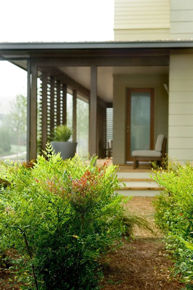Exterior view of a residential covered porch approached through landscaped shrubs. The porch has dark timber posts and beams, a timber privacy screen, pale horizontal weatherboard cladding, timber steps, and a glazed timber-framed door with a chair beside it. Lush garden planting fills the foreground.