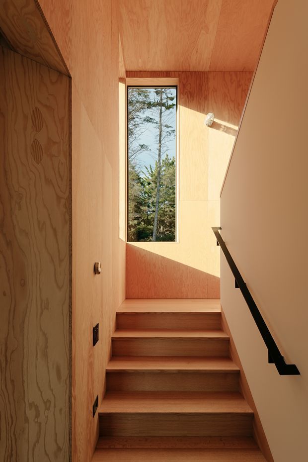 A narrow, compact interior stairway clad extensively in warm-toned plywood, with timber stair treads, walls and ceiling. A tall vertical window at the landing brings in sunlight and views of trees, while a simple black metal handrail contrasts with the pale wood surfaces.