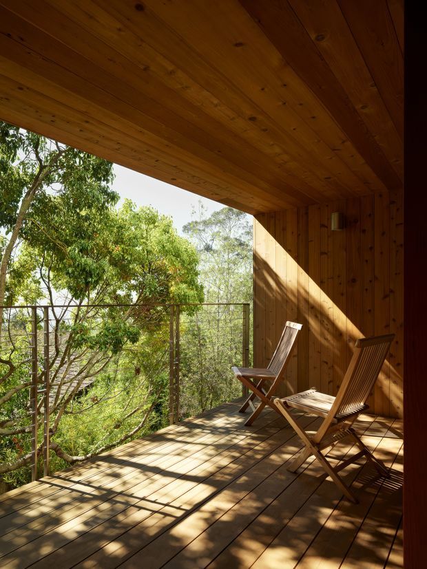A sunlit timber deck or balcony enclosed by a warm natural-wood ceiling and wall, with two wooden folding lounge chairs. A simple metal-and-wire balustrade opens onto dense leafy bushland, while strong sunlight creates dramatic diagonal shadows across the decking.