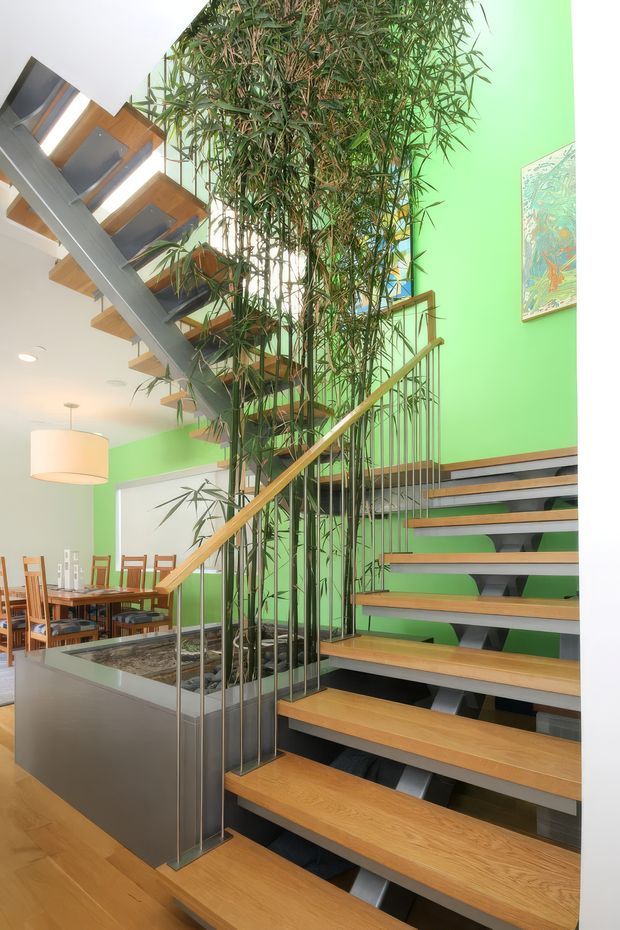 Bright contemporary interior featuring an open-riser timber staircase with slim metal balustrade and vertical rods. A tall indoor bamboo-like planting bed rises through the stair void, with vivid green walls, timber flooring, and a dining area visible to the side. The stair structure creates a strong multi-level architectural feature with exposed supports and open sightlines.