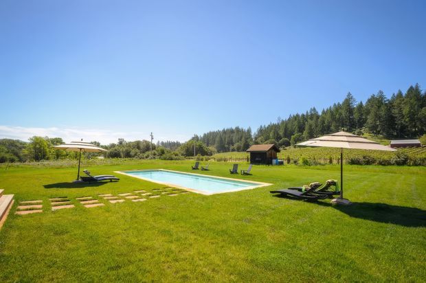 A spacious landscaped outdoor area with a rectangular in-ground swimming pool, broad manicured lawn, stepping-stone paths, sun loungers, and large patio umbrellas. A small poolside structure and low buildings sit beyond the lawn, backed by a dense forested hillside under a clear blue sky.