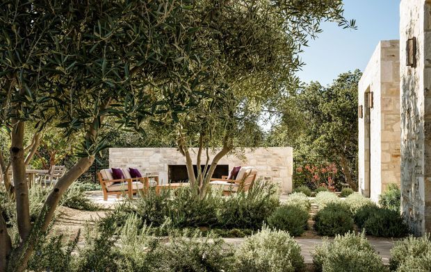 A sunlit Mediterranean-style courtyard garden framed by mature olive trees and low aromatic planting. Pale natural-stone walls and a matching freestanding stone privacy wall surround a small seating area with timber-framed lounge chairs and burgundy cushions. A narrow paved path leads between the planting toward the stone structures, creating a calm, private outdoor retreat.