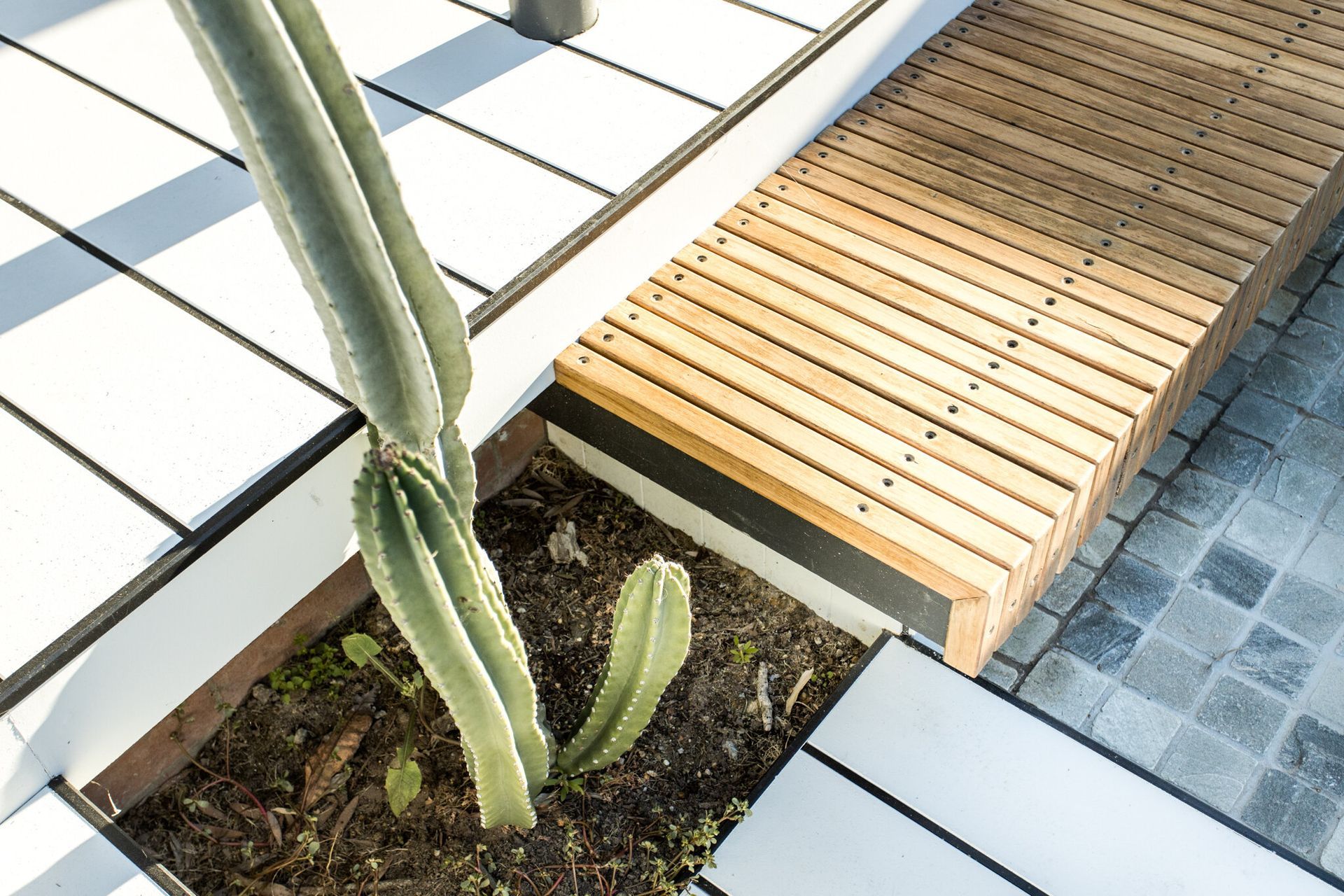 pop-up-house07.jpg