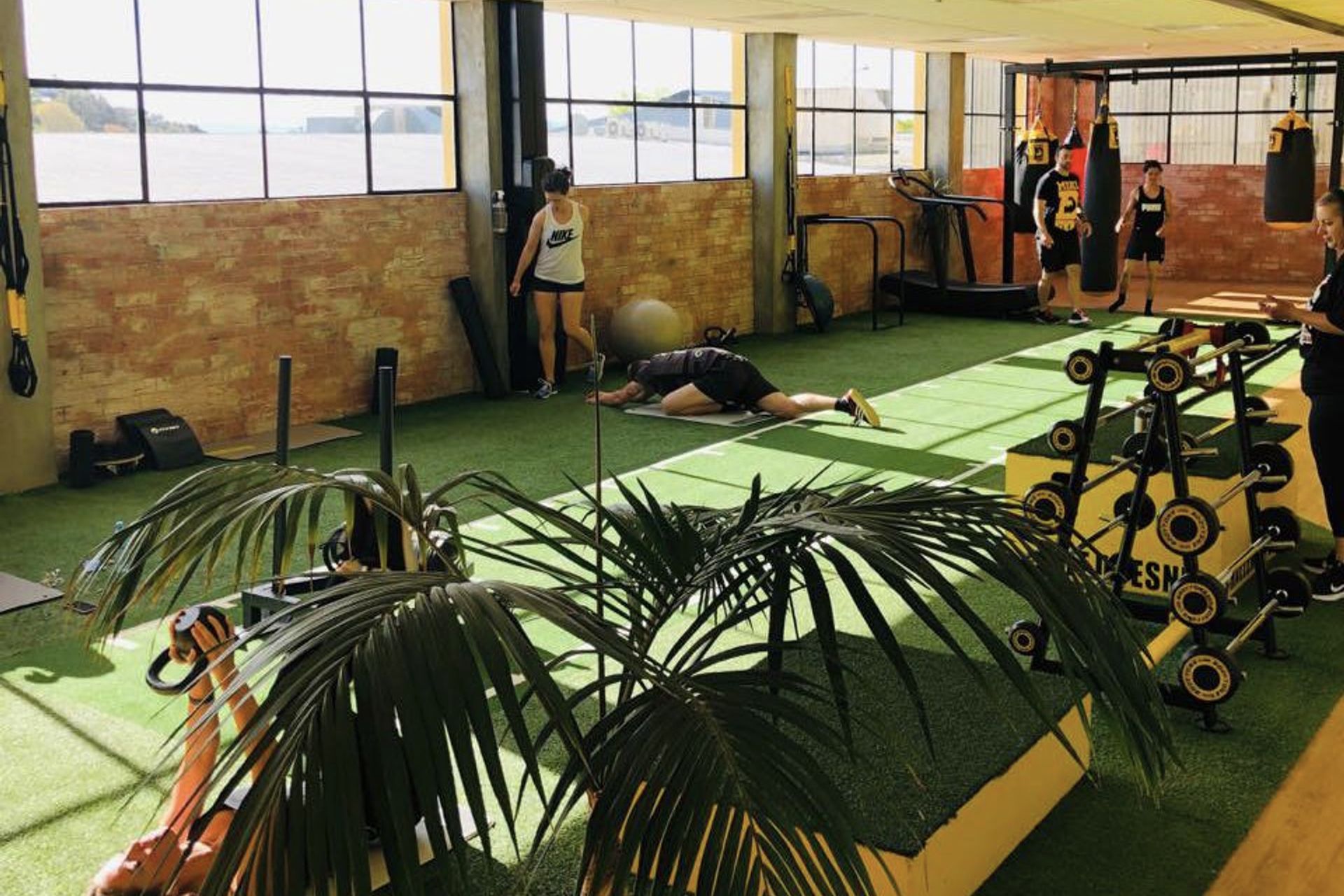 Miki D's Gym