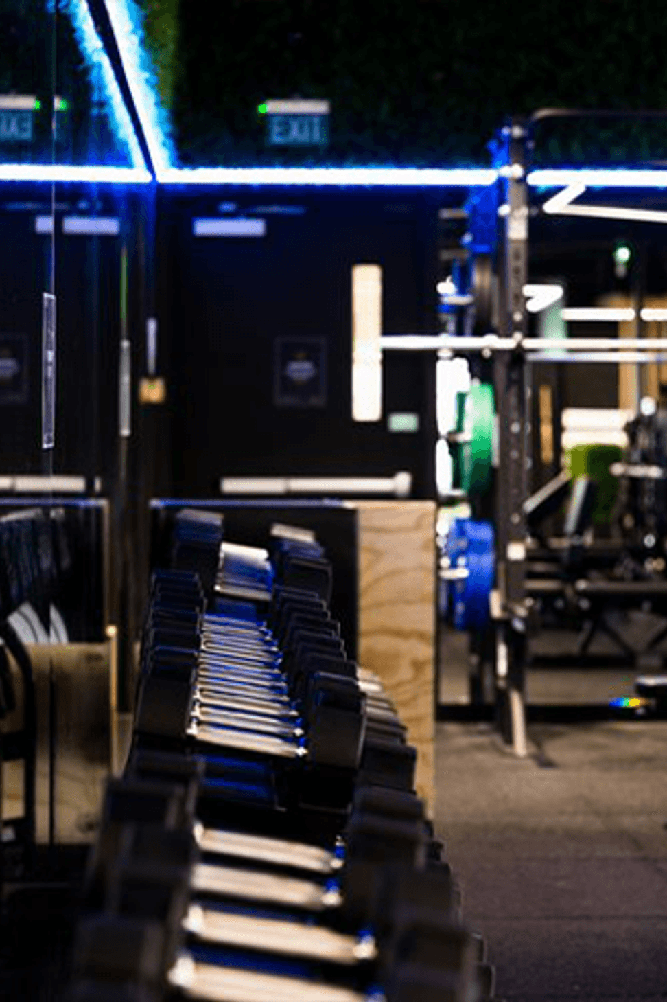 Flex Fitness | Auckland