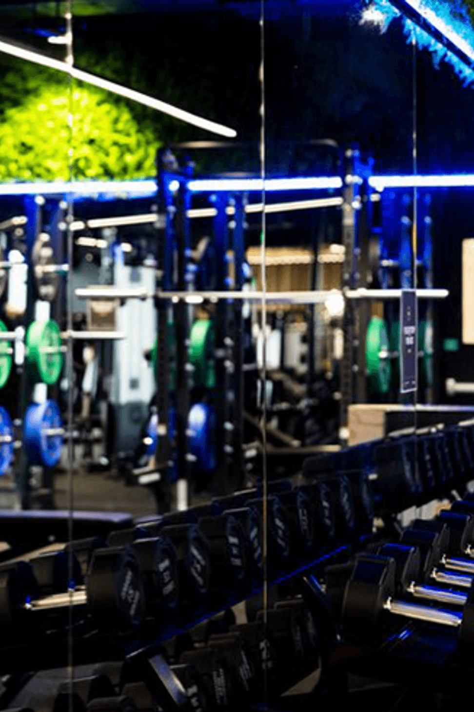 Flex Fitness | Auckland