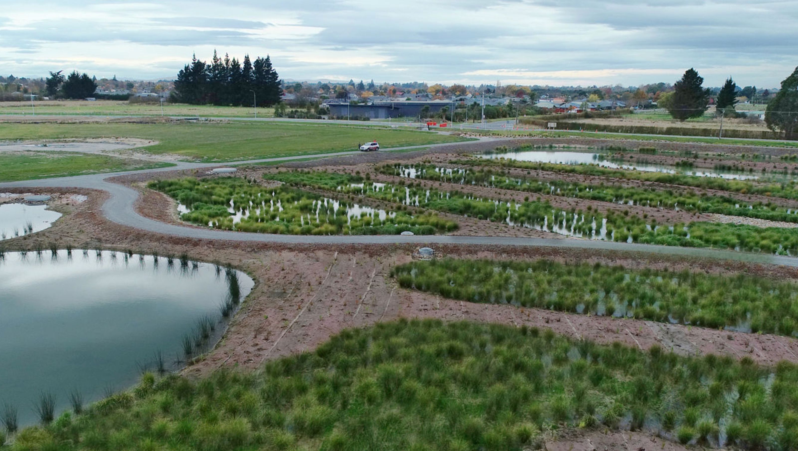 Townsend Fields