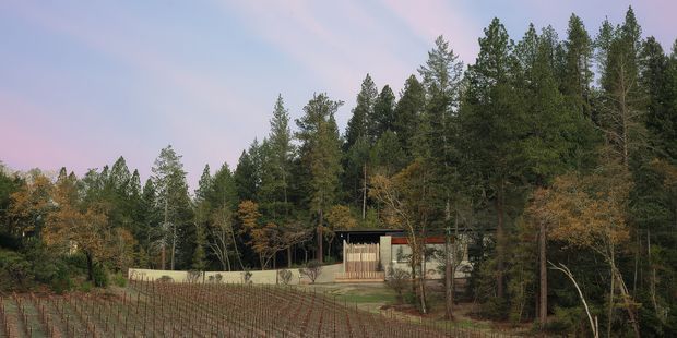 A low, partially screened residential or rural structure sits among dense woodland, viewed across rows of planted vines or crops. The building has a simple dark roofline, timber fencing, pale rendered walls, and an earthy, understated setting beneath a soft evening sky.