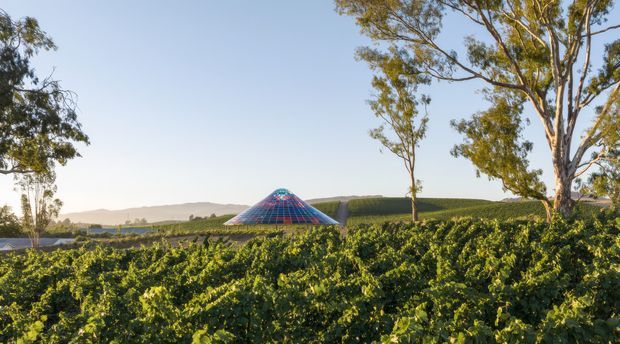 Rural vineyard landscape viewed from outside, with rows of grapevines in the foreground, mature eucalyptus trees, rolling hills, and a distinctive low pyramidal or conical roof structure with colourful glazing partially visible among the vines.