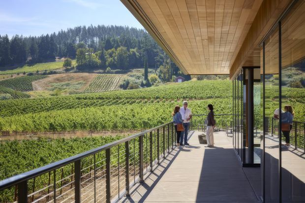 A covered outdoor terrace or balcony extends along a contemporary building, overlooking rows of lush cultivated vines and forested hills. The terrace has a slim dark metal balustrade, pale concrete or tiled flooring, a warm timber soffit, and extensive floor-to-ceiling glazing with reflections of the landscape and people. The scene is bright, rural, and strongly connected to the surrounding vineyard setting.