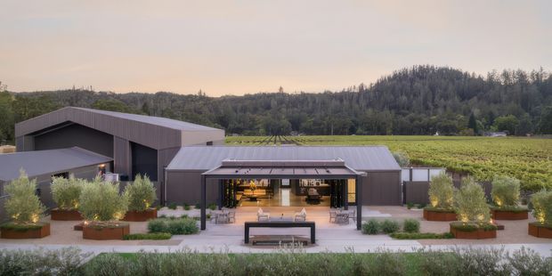 Wide exterior view of a low-slung contemporary building set beside cultivated vineyard rows and wooded hills. The dark metal-clad structure has simple angular roof forms, expansive glazed openings, and a covered outdoor terrace with seating and large planters.