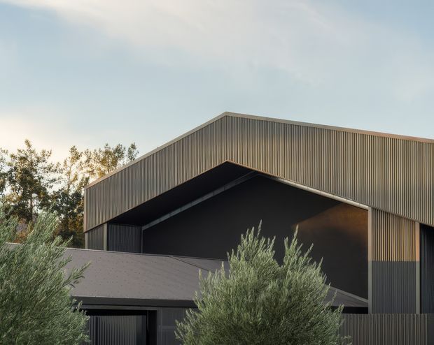 Exterior architectural photograph of a contemporary dark-clad building with a prominent angular, gabled roof form and deep recessed entrance or covered volume. Vertical ribbed metal cladding defines the upper facade, while darker smooth wall surfaces and a lower pitched roof create layered geometry. Silvery-green landscaping partially screens the building, with a pale sky in the background.
