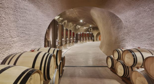 A warmly lit underground wine cellar with rough, organically sculpted plaster or stone walls and a vaulted passage. Rows of large wooden wine barrels line both sides of the walkway, with stainless-steel fermentation or storage tanks visible in the rear chamber. The space has a refined rustic, subterranean atmosphere.