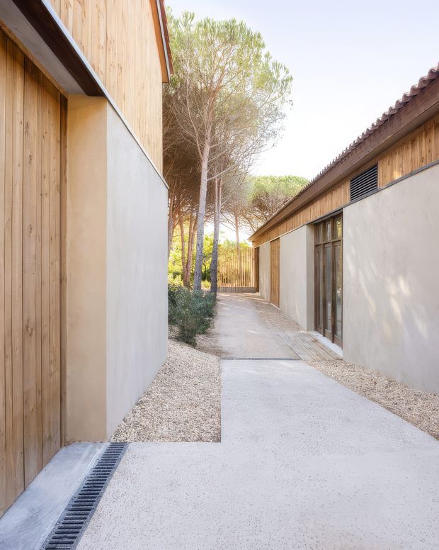 A narrow landscaped pedestrian passage between low-rise buildings, with smooth pale rendered walls, vertical natural timber cladding and doors, exposed tiled roof edges, a light concrete pathway, gravel drainage strips, and mature trees creating a calm courtyard-like setting.
