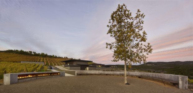 A low, modern architectural building set within a landscaped vineyard or agricultural hillside at dusk. The foreground features a broad gravel or paved terrace, a curved concrete retaining wall, and a long linear outdoor fire feature. A mature tree stands near the centre, while the building has a restrained horizontal form with dark flat roofing and extensive glazing. Rolling cultivated hills and a pink-blue evening sky form the background.