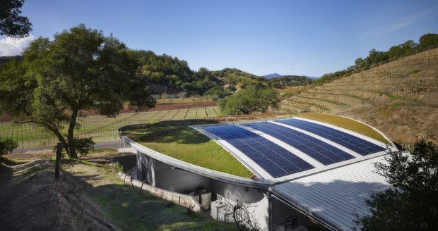 A low-profile, organically curved building set into a rural terraced landscape. The roof combines extensive solar photovoltaic panels with a green roof, while the surrounding site features vineyard-like rows, mature trees, and dry planted slopes under a clear sky.