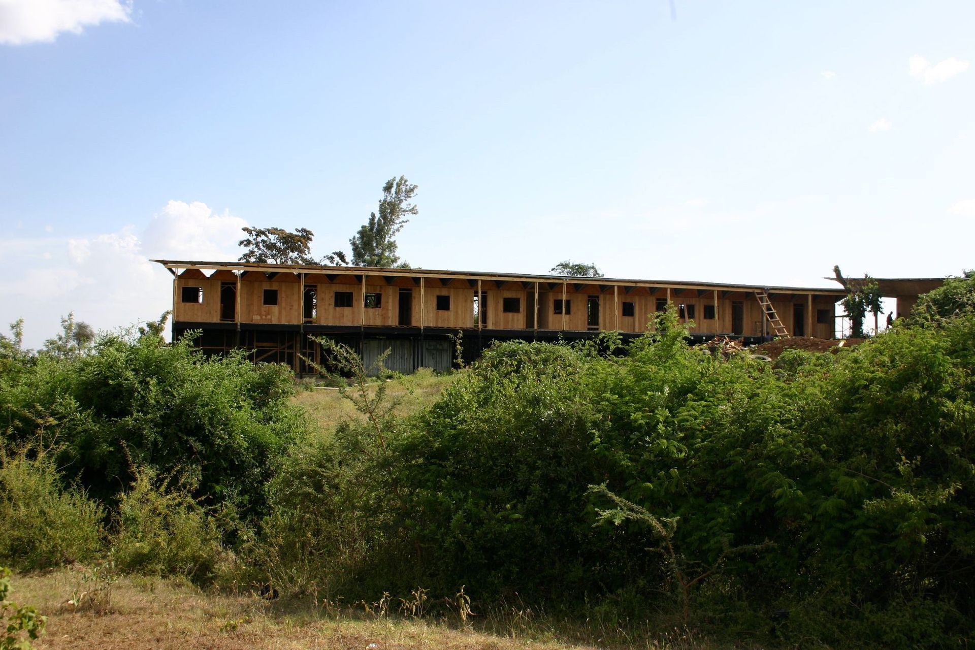 Kesho Leo