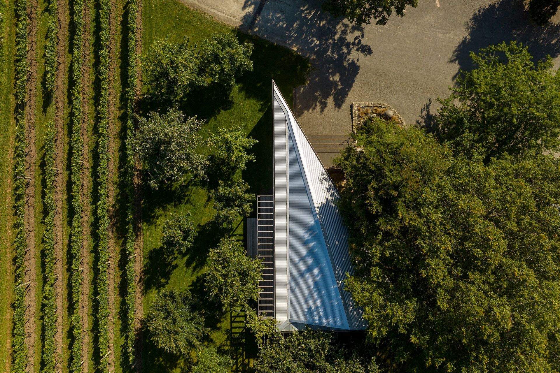 02AtaRangiTastingRoomMakers-of-Architecture.jpg