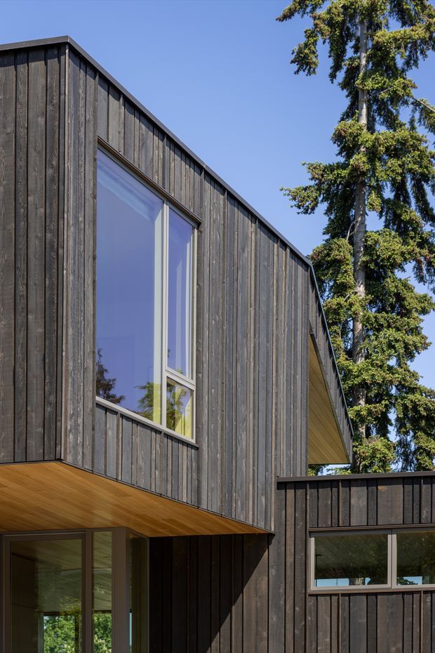Exterior architectural photograph of a contemporary multi-level house set among tall trees. The facade is clad in dark, vertically arranged timber boards, with large vertical windows and projecting upper volumes. Warm timber soffits are visible beneath the cantilevered sections, and a dark timber balcony or terrace enclosure appears at lower right. The composition highlights the building envelope, angular roofline, glazing, and strong contrast between dark cladding and warm soffits against a clear blue sky.