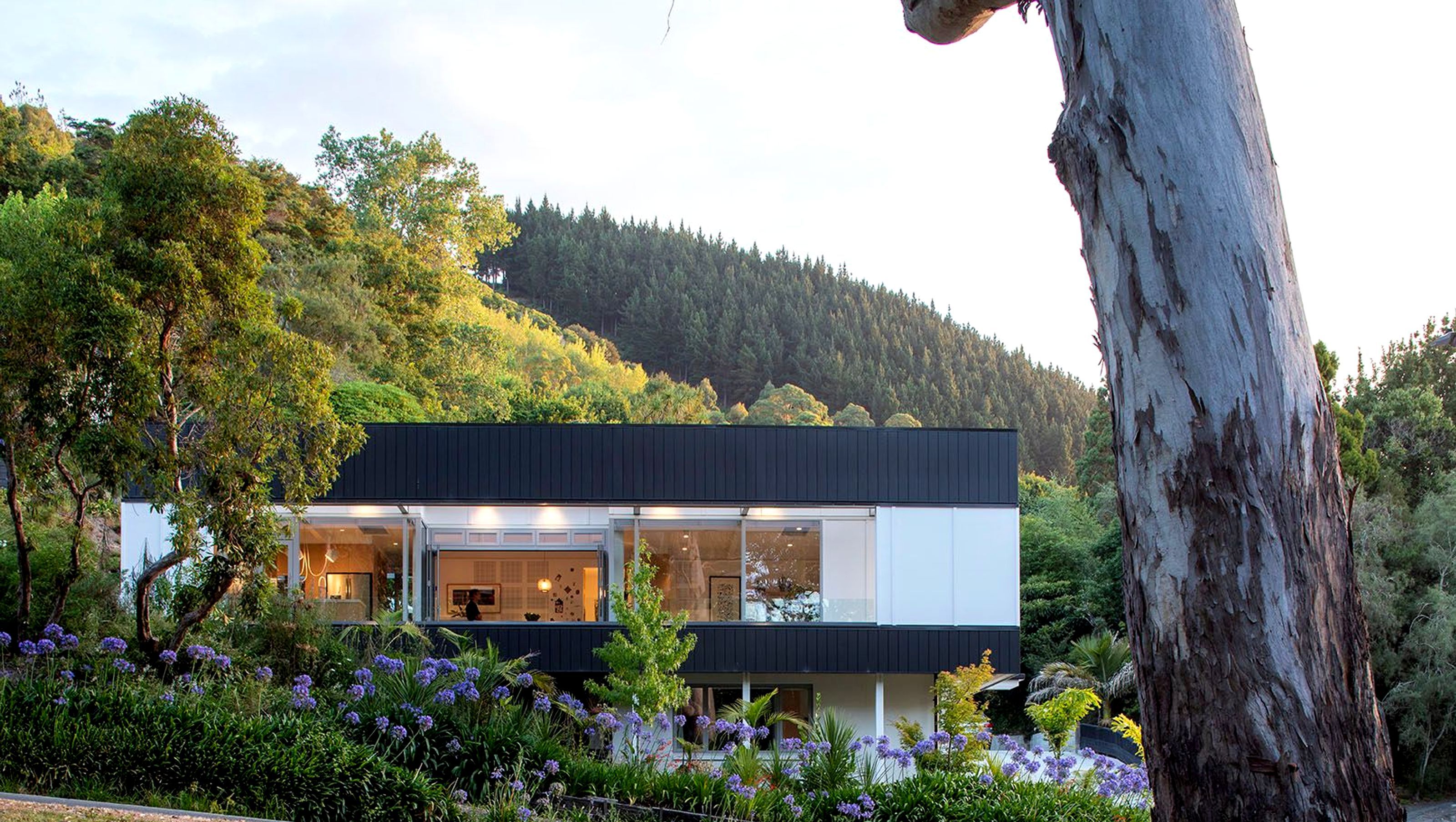 Van Diemen New Build