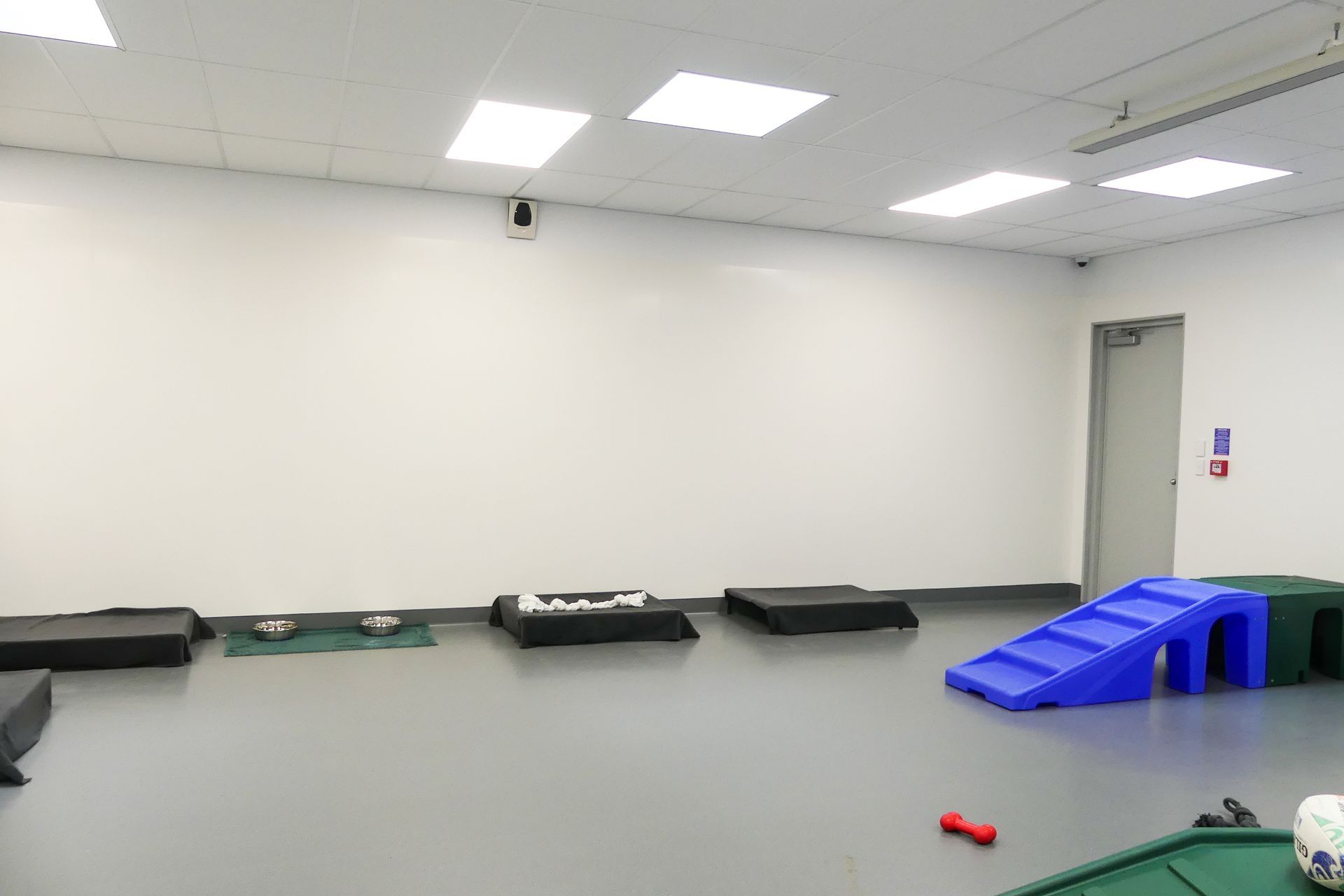 SPCA &amp; Doggy Daycare Hobsonville