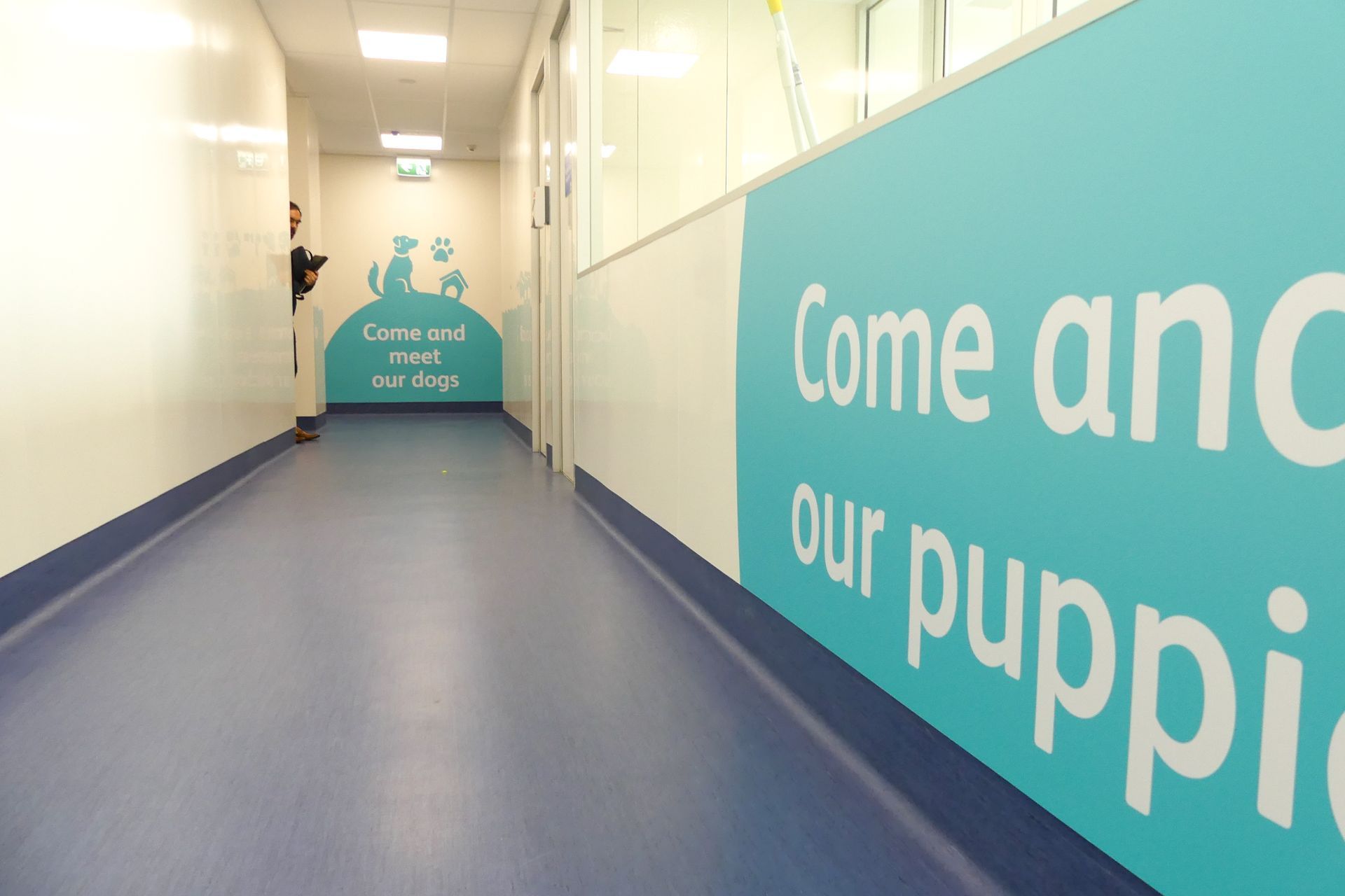 SPCA &amp; Doggy Daycare Hobsonville