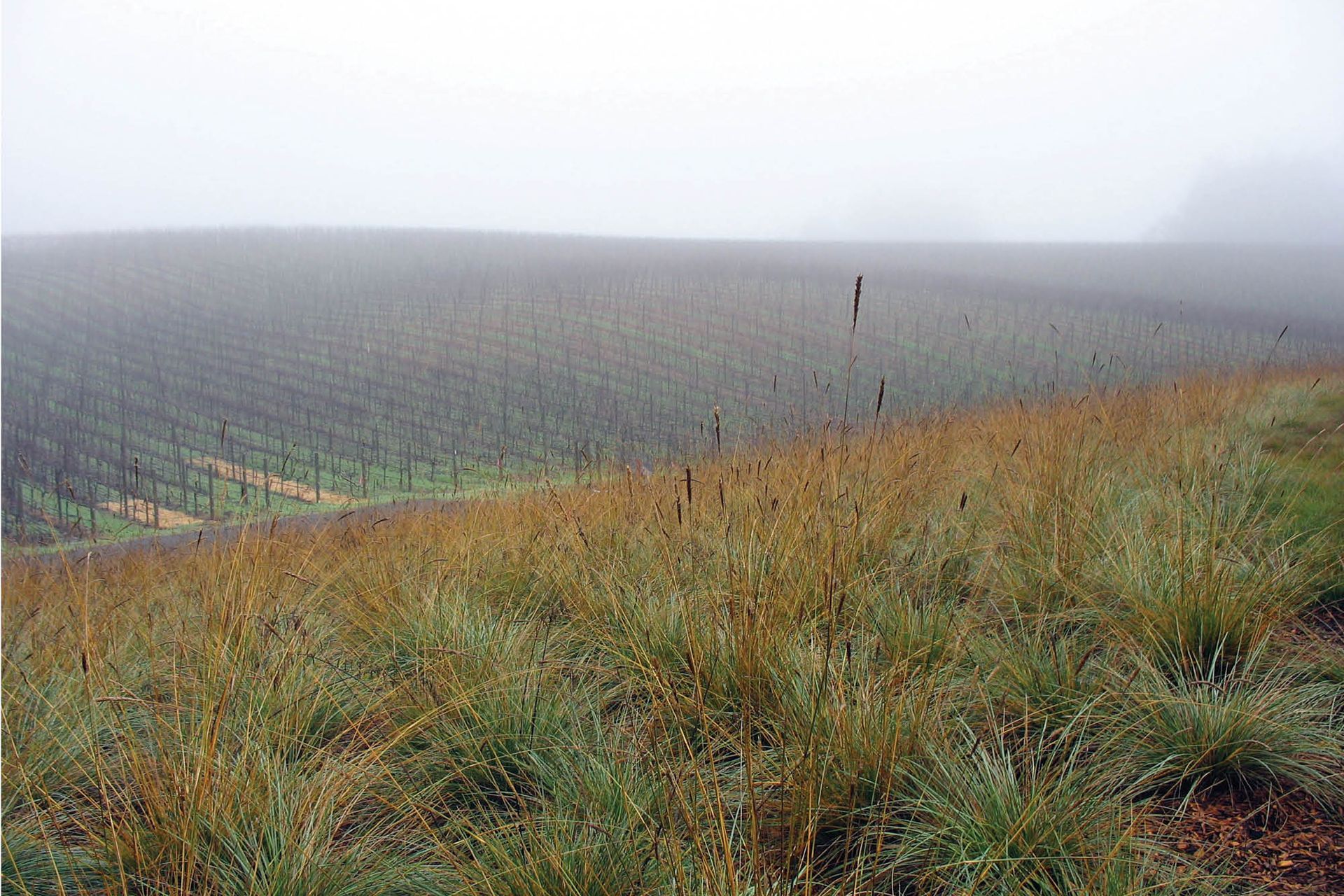 PaulHobbsWinery01.jpg