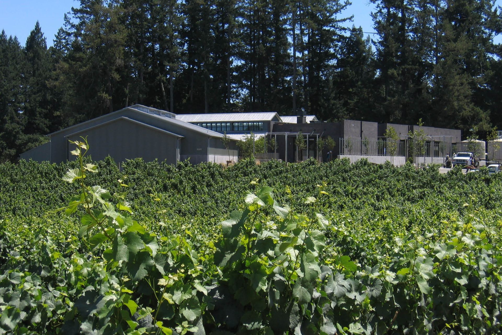 PaulHobbsWinery04-v3.jpg