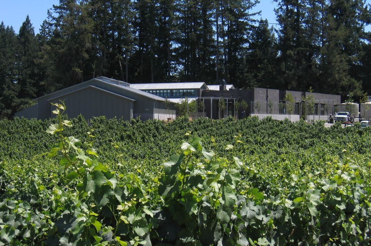 Essence of the Site | Paul Hobbs Winery