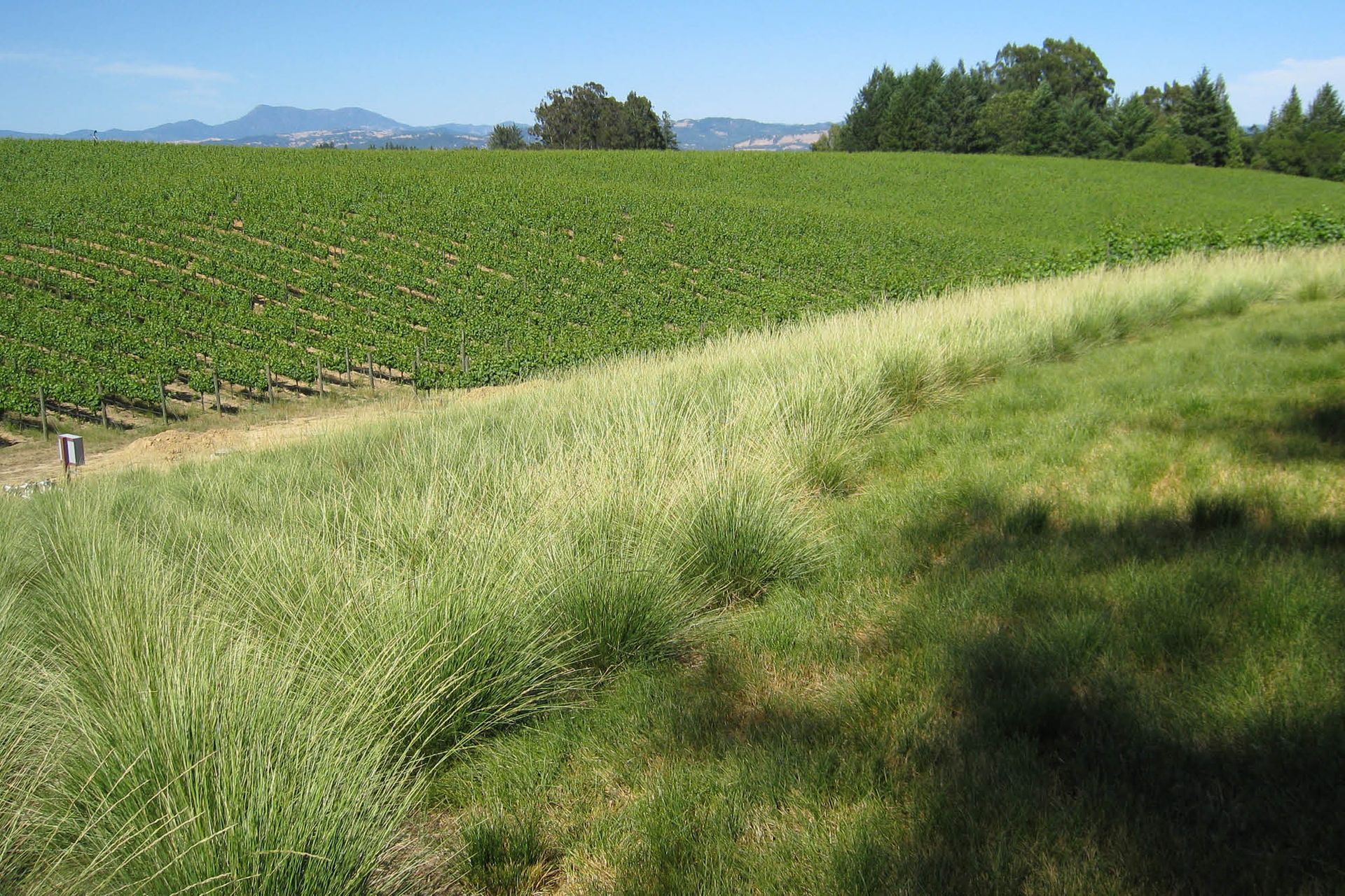 PaulHobbsWinery10.jpg