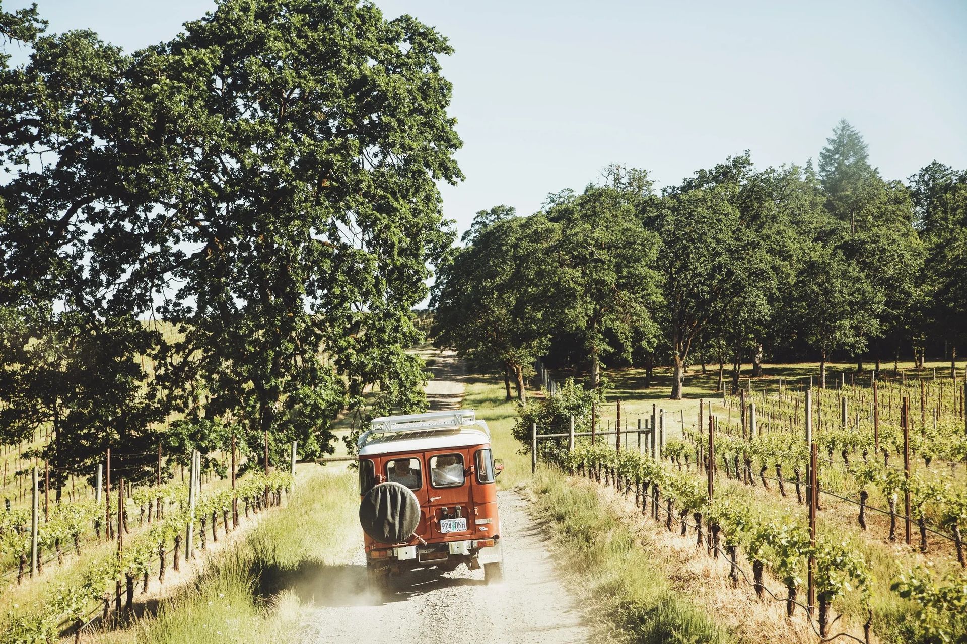 imgi84StudioCampo-LeftCoast-LaurelDailey-8-ap-compressed.jpg
