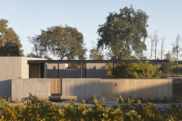 A contemporary single-storey residential building viewed from outside, composed of vertically clad timber walls, dark slender metal framing, and a long low roofline. The house is partially screened by landscaped shrubs and mature trees, with a covered outdoor circulation or terrace zone visible behind the front boundary wall.