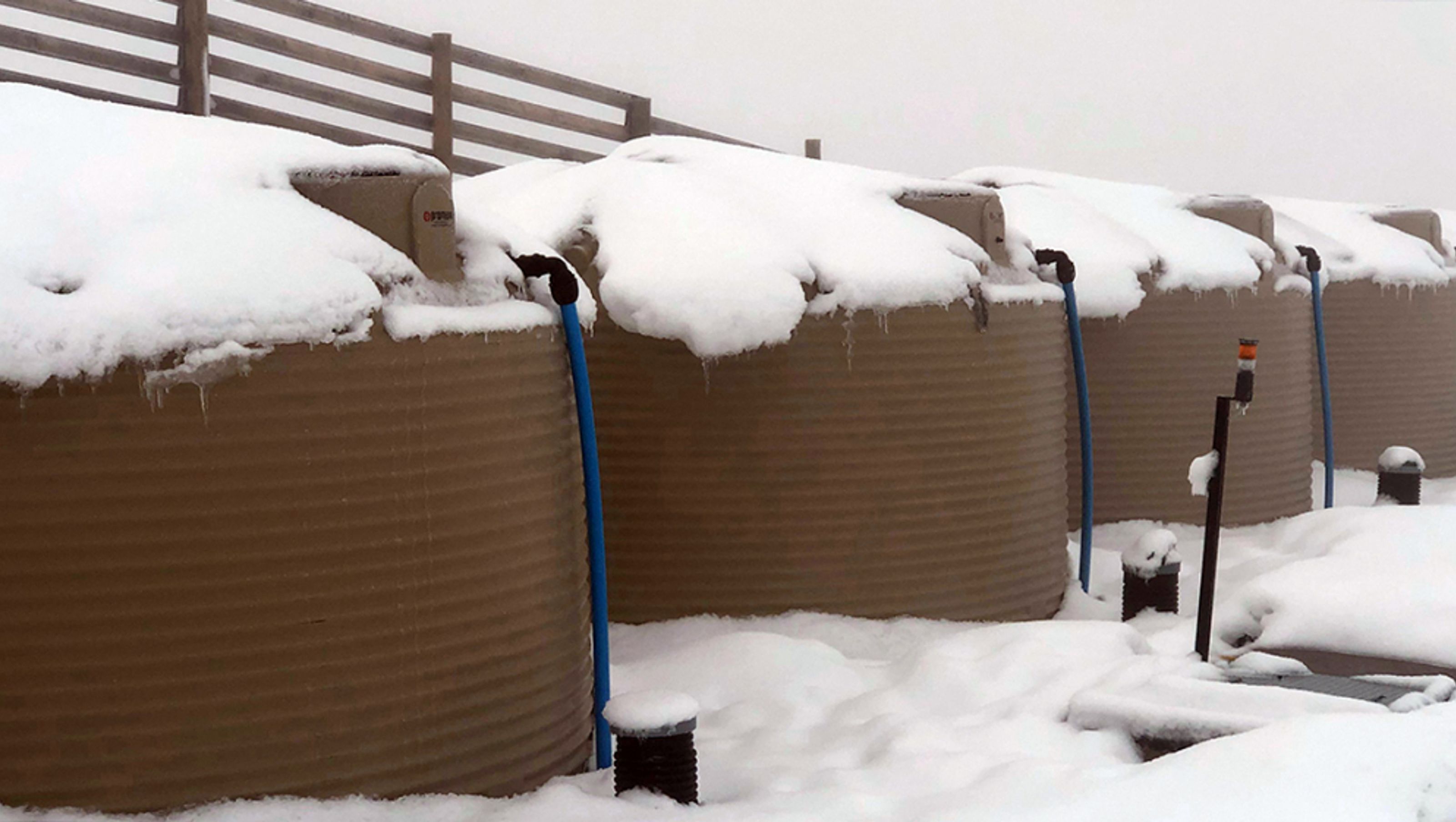 Promax Tanks Big Freeze