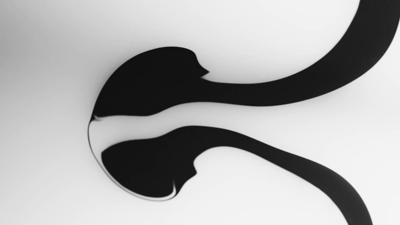 Floor Gres Black & White Marble Floor & Wall Tile gallery detail image