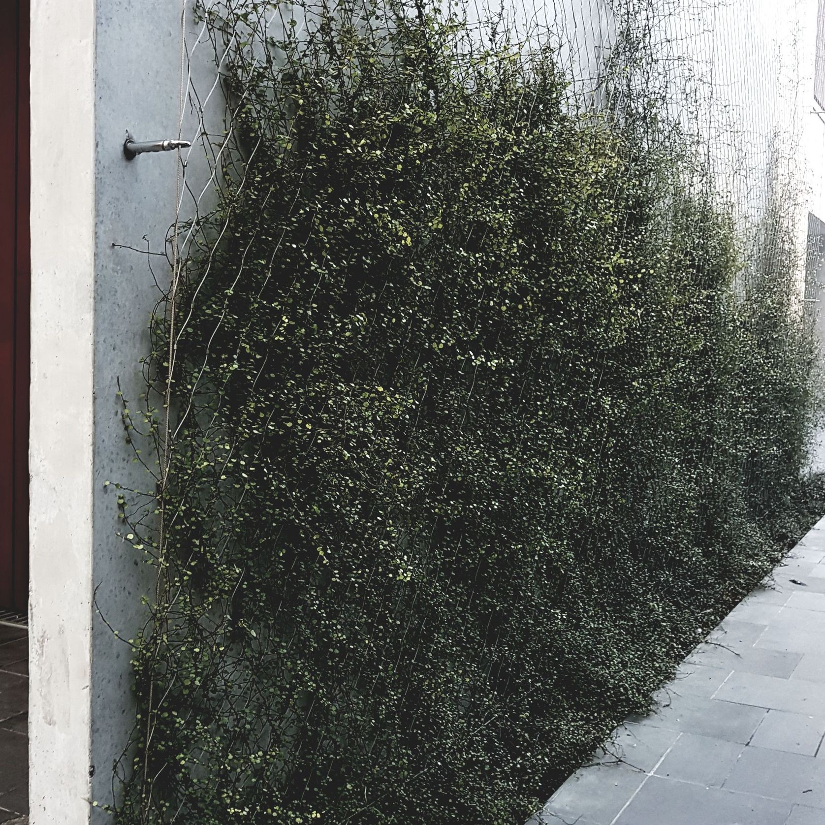 Green Wall Support Systems gallery detail image