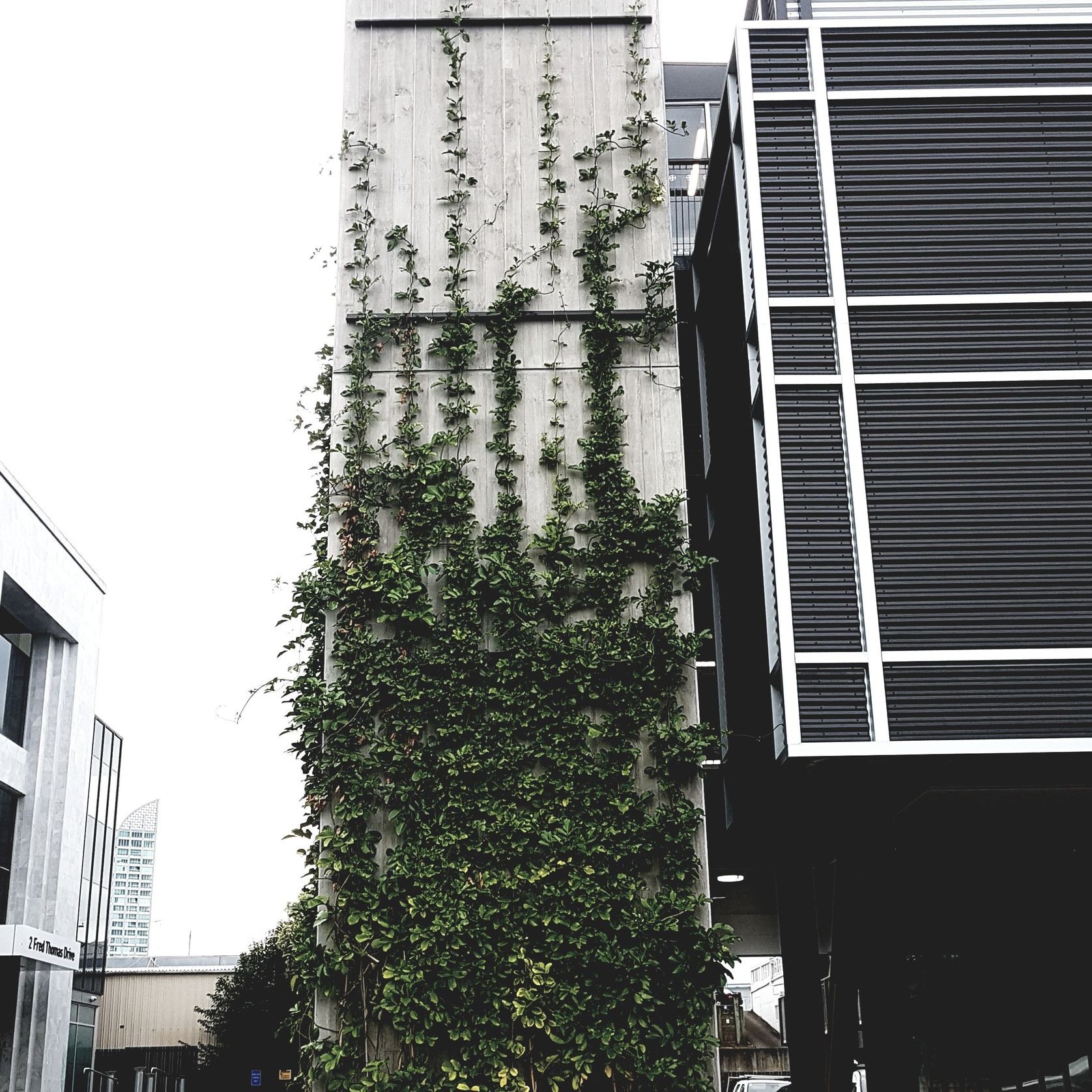 Green Wall Support Systems gallery detail image