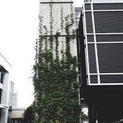 Green Wall Support Systems gallery detail image