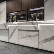 Sapien Stone Porcelain gallery detail image