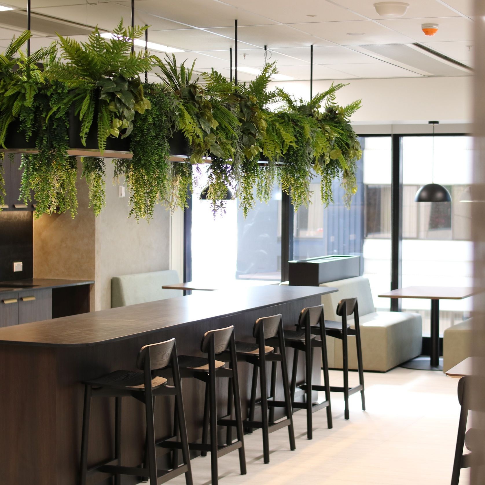 Artificial Plant Solutions | Hire Plants gallery detail image