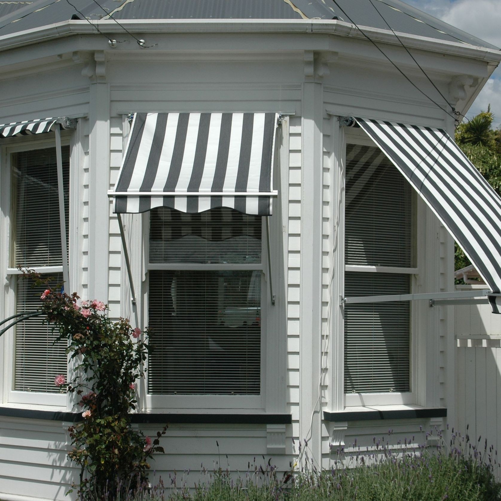 Bannette™ Drop Arm Awning gallery detail image