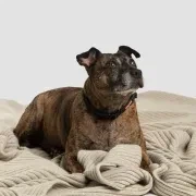 Wide Rib Angora & Merino Wool Blankets gallery detail image