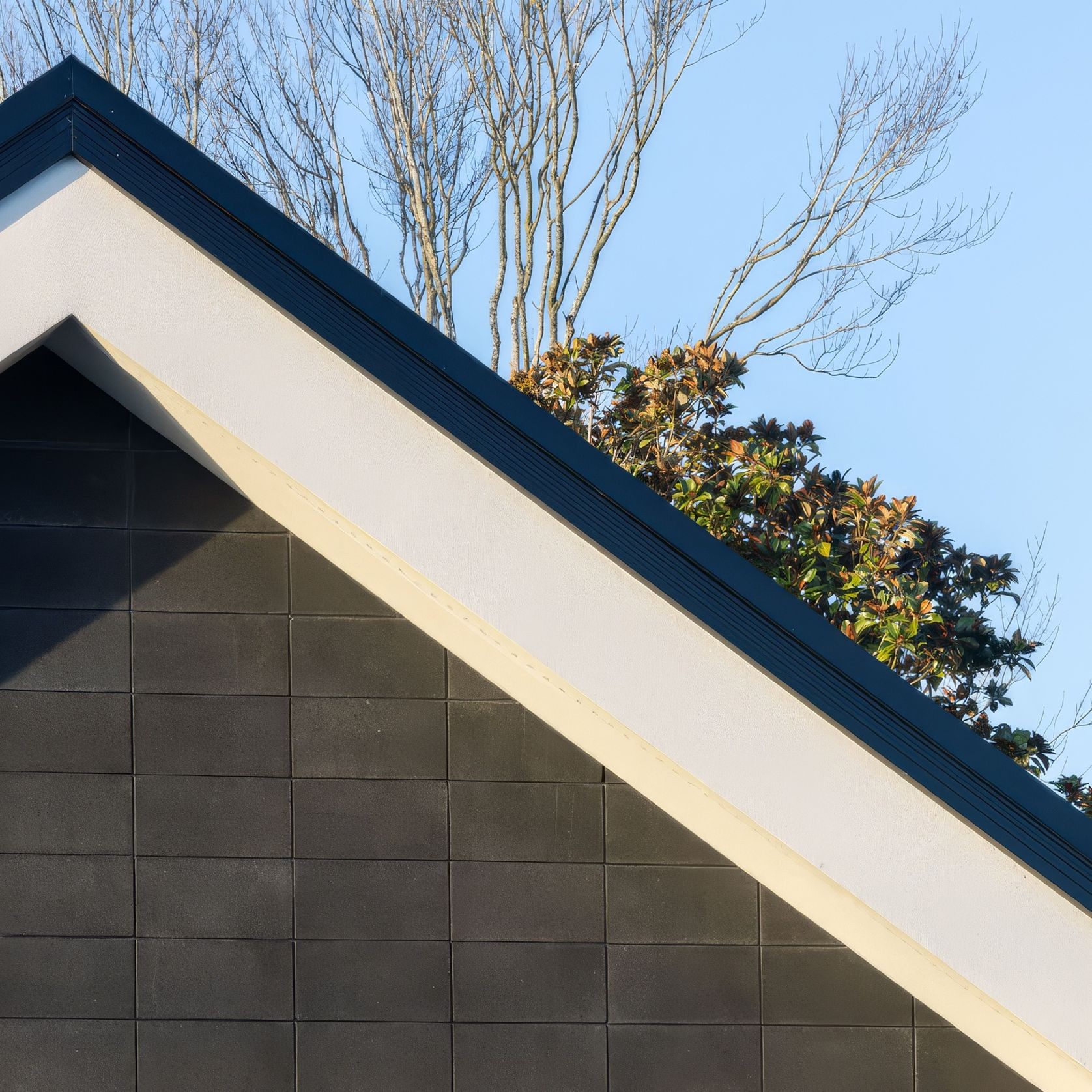 450 Double | Bricks gallery detail image