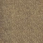 Riverside Reserve by Belgotex | Carpet gallery detail image