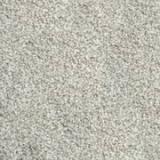 Forest Grove by Belgotex | Carpet gallery detail image