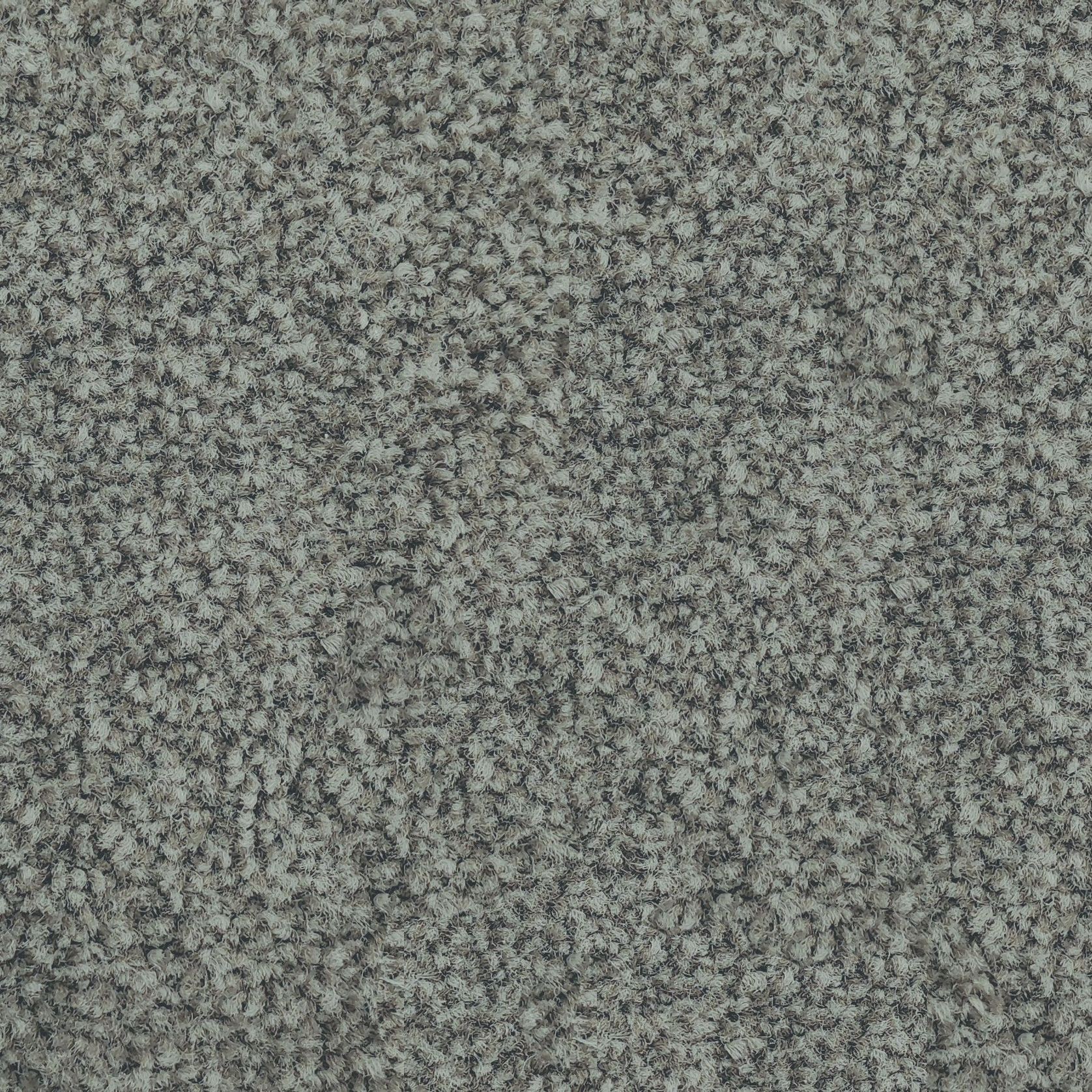 Forest Grove by Belgotex | Carpet gallery detail image