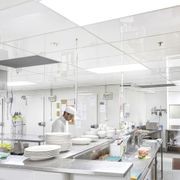 Fenta Hygiene Ceiling Tile gallery detail image
