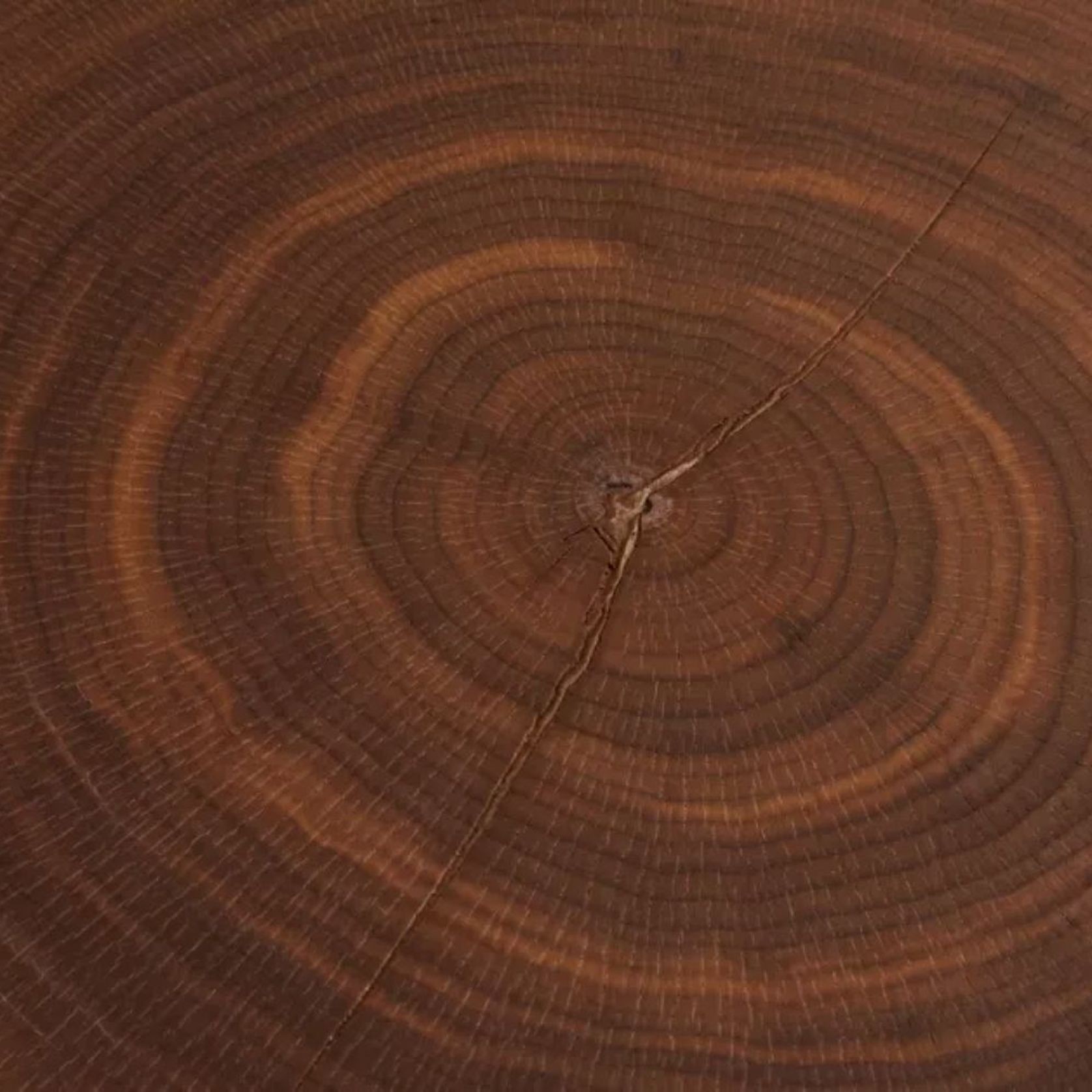 Coeur De Bois Cocktail Table gallery detail image