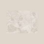 Bloomstone | Porcelain Tiles gallery detail image