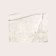Mystone Silver Root | Porcelain Tiles gallery detail image