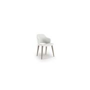 Yel Dining Armchair gallery detail image